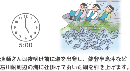 5：00　漁師さんは夜明け前に港を出発し、能登半島沖など
						石川県周辺の海に仕掛けておいた網を引き上げます。