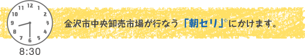 8：30　金沢市中央卸売市場が行なう「朝セリ」※にかけます。