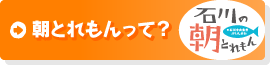 朝とれもんって？