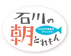 魚の地産地消費　石川の朝とれもん　石川中央魚市　JFいしかわ